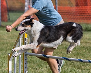 20200819-0698.jpg