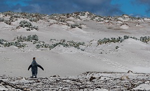 20191208-0067.jpg