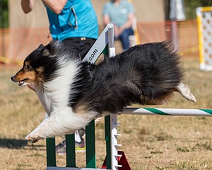 20160619-CCKC-0131.jpg