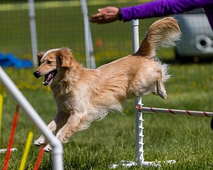 Ollie Erbe