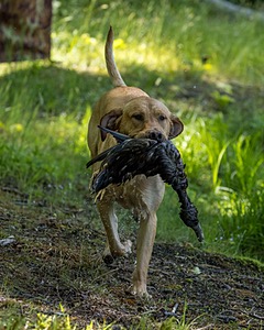 20220604-SHW-2022.jpg