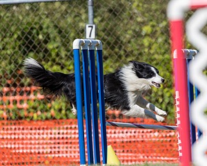 20200819-2598.jpg