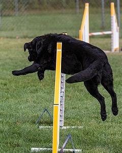 20200819-0187.jpg