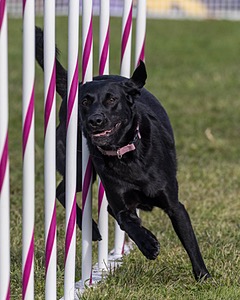 20230916-PVKC-1484.jpg