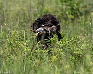 Ghillie Kezer