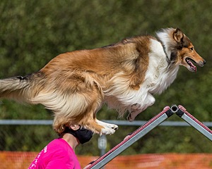 20200819-2519.jpg