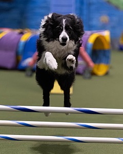 20260221-0645.jpg