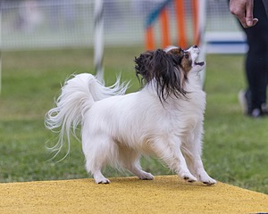 20230916-PVKC-0075.jpg