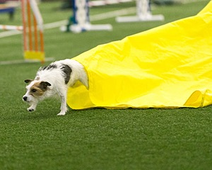 20150322-LEAP-0178.jpg