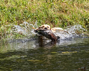 20200809-SHW-0012.jpg