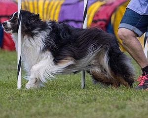 20230917-PVKC-2778.jpg