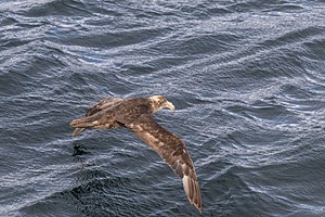 20260325-0044.jpg