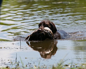 20130714-MHB2-0007.jpg