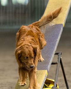 Pup-Pup Beaulieu