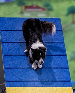 Breeze Schunk