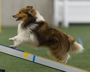 Relay Spooner