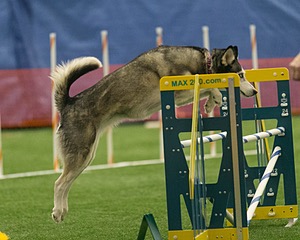 20150321-LEAP-1096.jpg