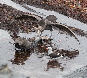 20191217-0904.jpg