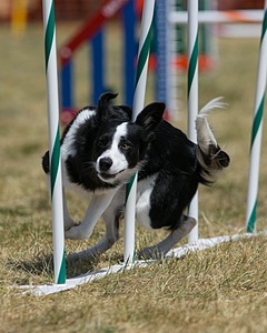 20150614-CCKC-1749.jpg