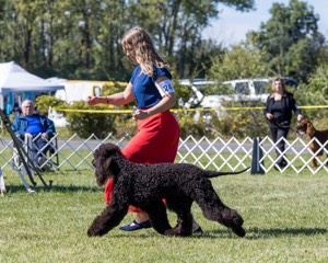 24 - POOLE'S IDE MODERN LOVE CGC (Remi)