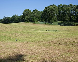 20130602-C-0002.jpg