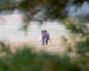 20161008-WCXL-0012.jpg