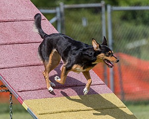 20200819-2158.jpg