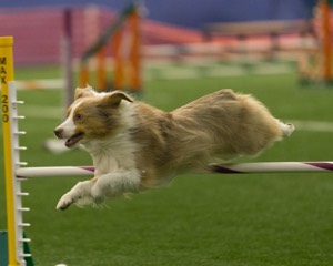 20150321-LEAP-1306.jpg