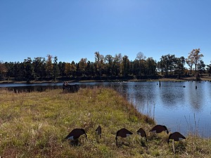 20241102-C-0004.jpg
