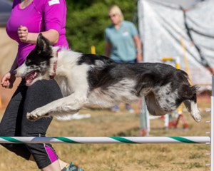 20160619-CCKC-0249.jpg