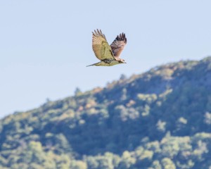 20160925-C-0013.jpg