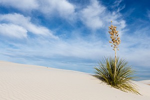 White Sands National Monument, New Mexico