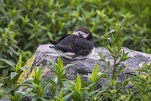 20230711-1503.jpg