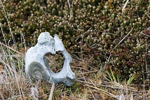 20191217-0204.jpg