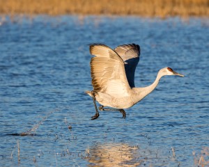 20151206-1662.jpg