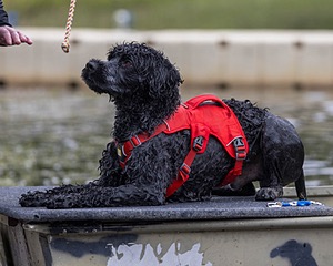 Swizzle Kennedy