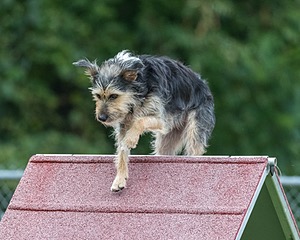 20200819-2889.jpg
