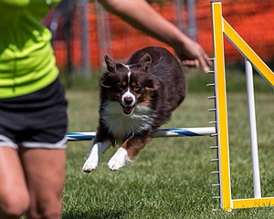 20200819-2189.jpg