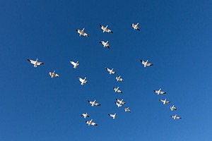 20151206-3312.jpg