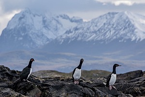 20260327-0024.jpg