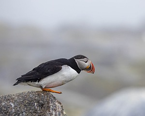20230711-0241.jpg