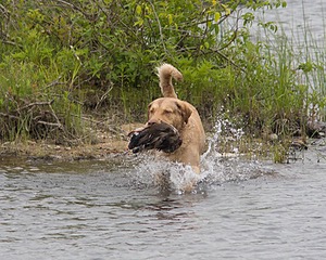 20080531-HRW-0081.jpg