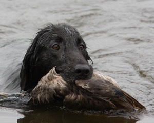 20080531-HRW-0965.jpg