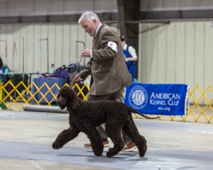 20260228-0219.jpg