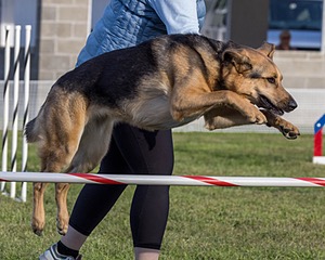 20230916-PVKC-1686.jpg