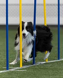 Wynnie Allen