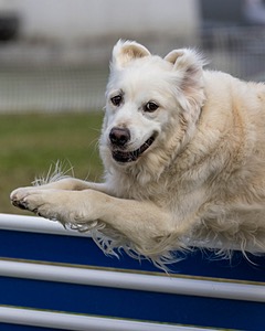 20230917-PVKC-2849.jpg