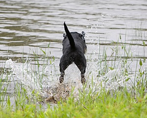 20080531-HRW-0783.jpg