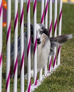 20230916-PVKC-1120.jpg