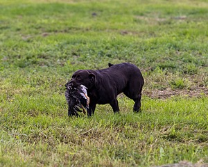 Winnie Patterson